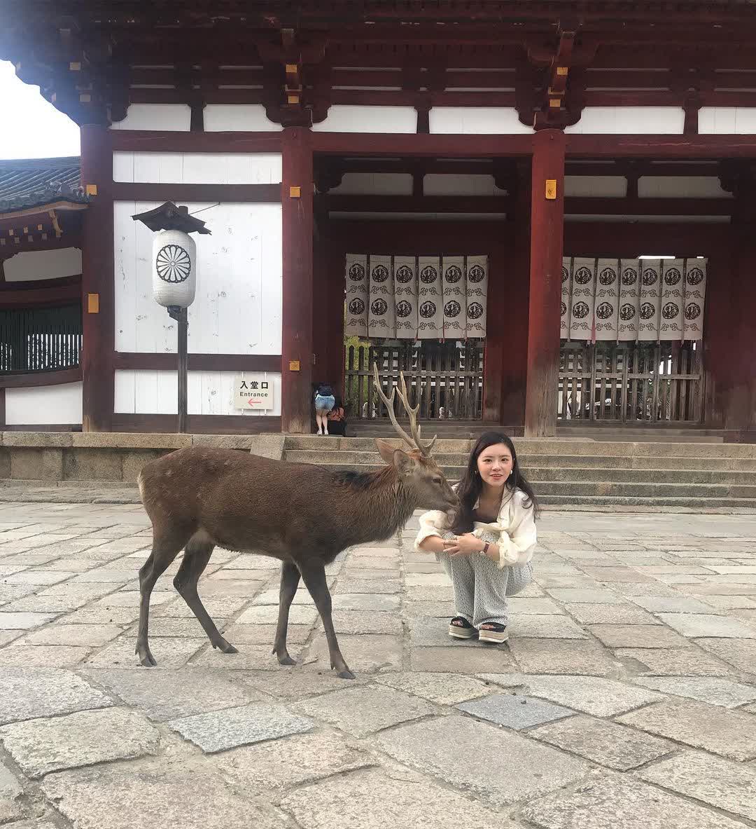 Tōdai-ji 東大寺 | 去趣 chicTrip