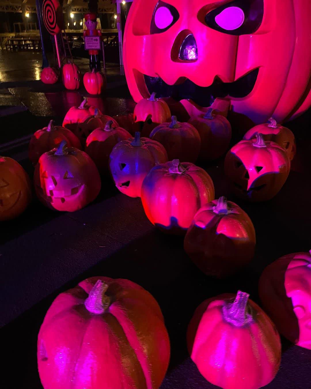 六福村主題遊樂園 | 去趣 chicTrip