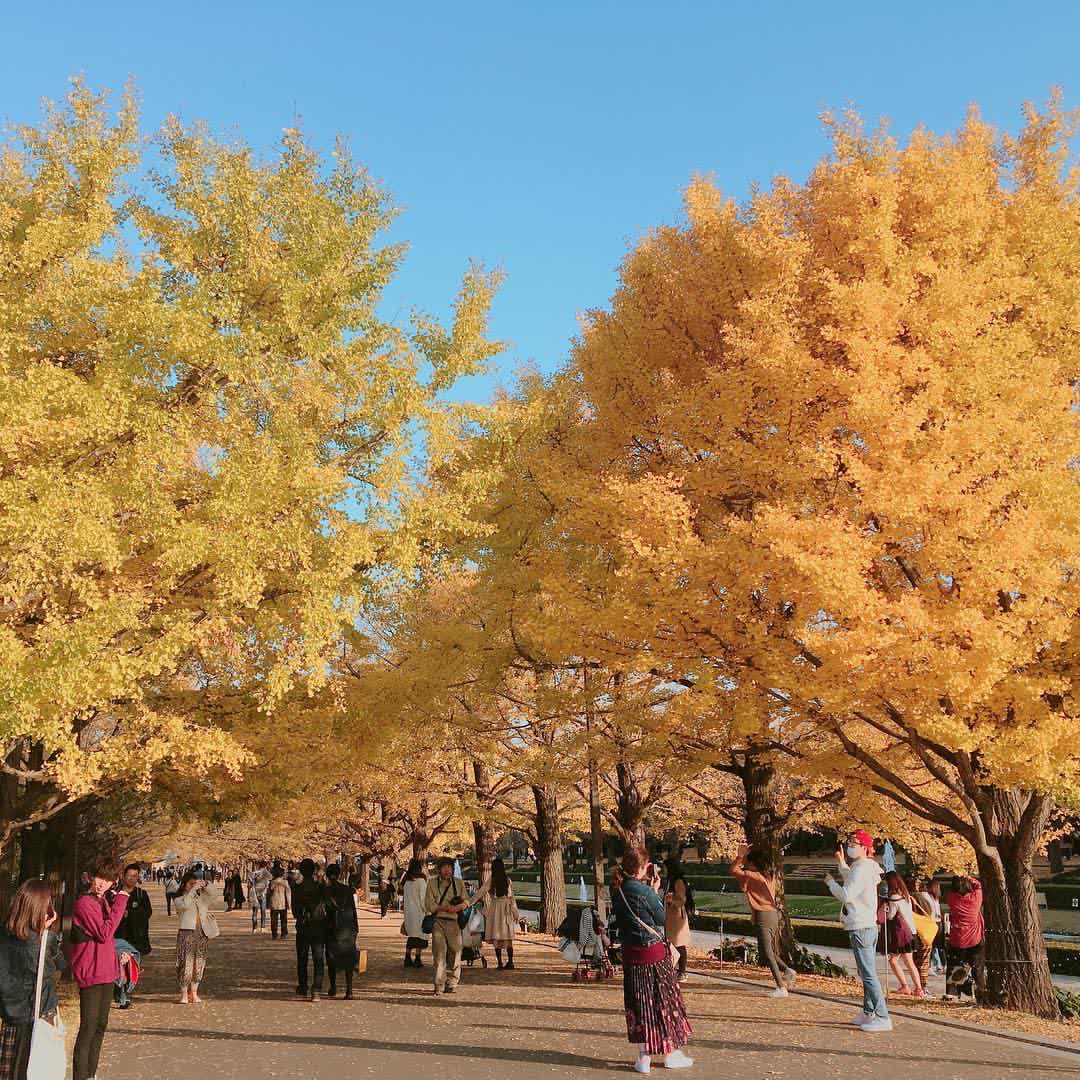 昭和紀念公園 | 去趣 chicTrip