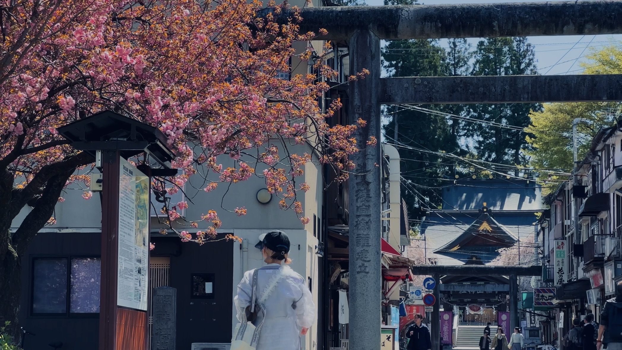 盛岡城跡公園（岩手公園） | 去趣 chicTrip