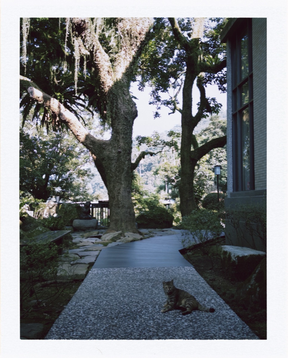 大板根森林溫泉酒店 | 去趣 chicTrip