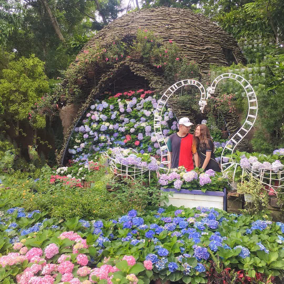 花露農場 Flower Home | 去趣 chicTrip