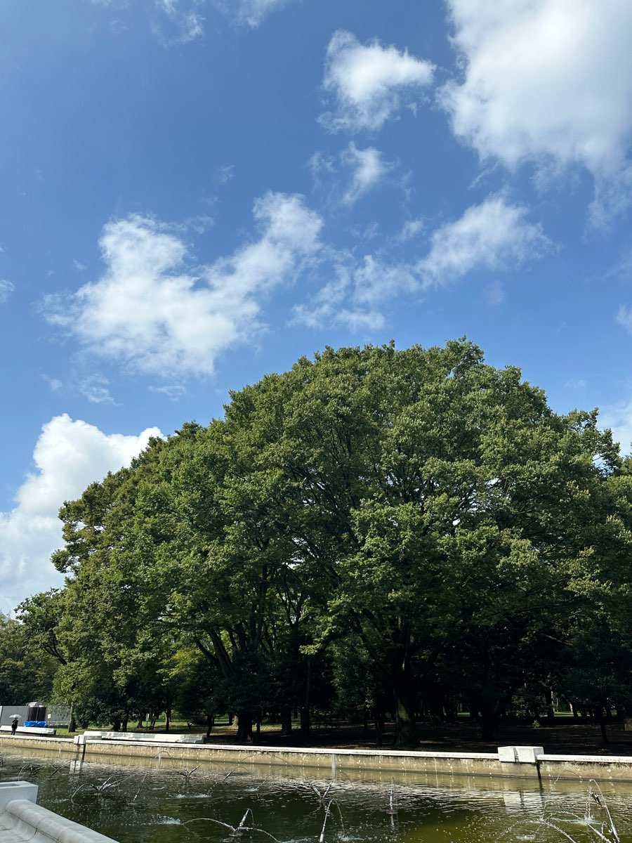 代代木公園 | 去趣 chicTrip