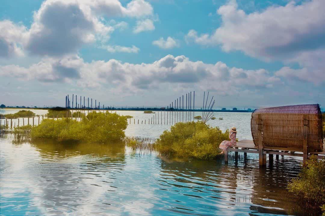 成龍溼地 | 去趣 chicTrip