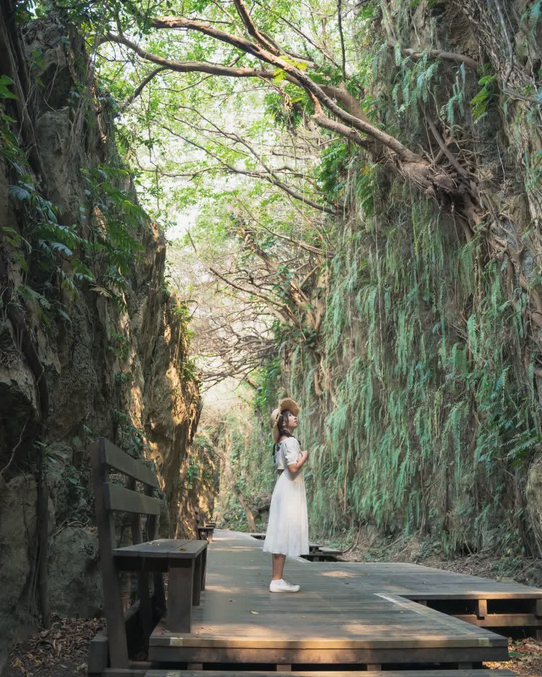 山豬溝生態步道 | 去趣 chicTrip