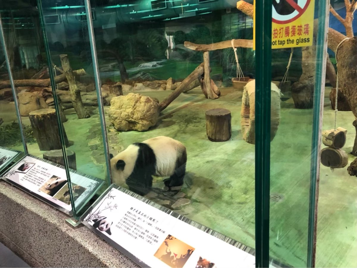 臺北市立動物園 | 去趣 chicTrip