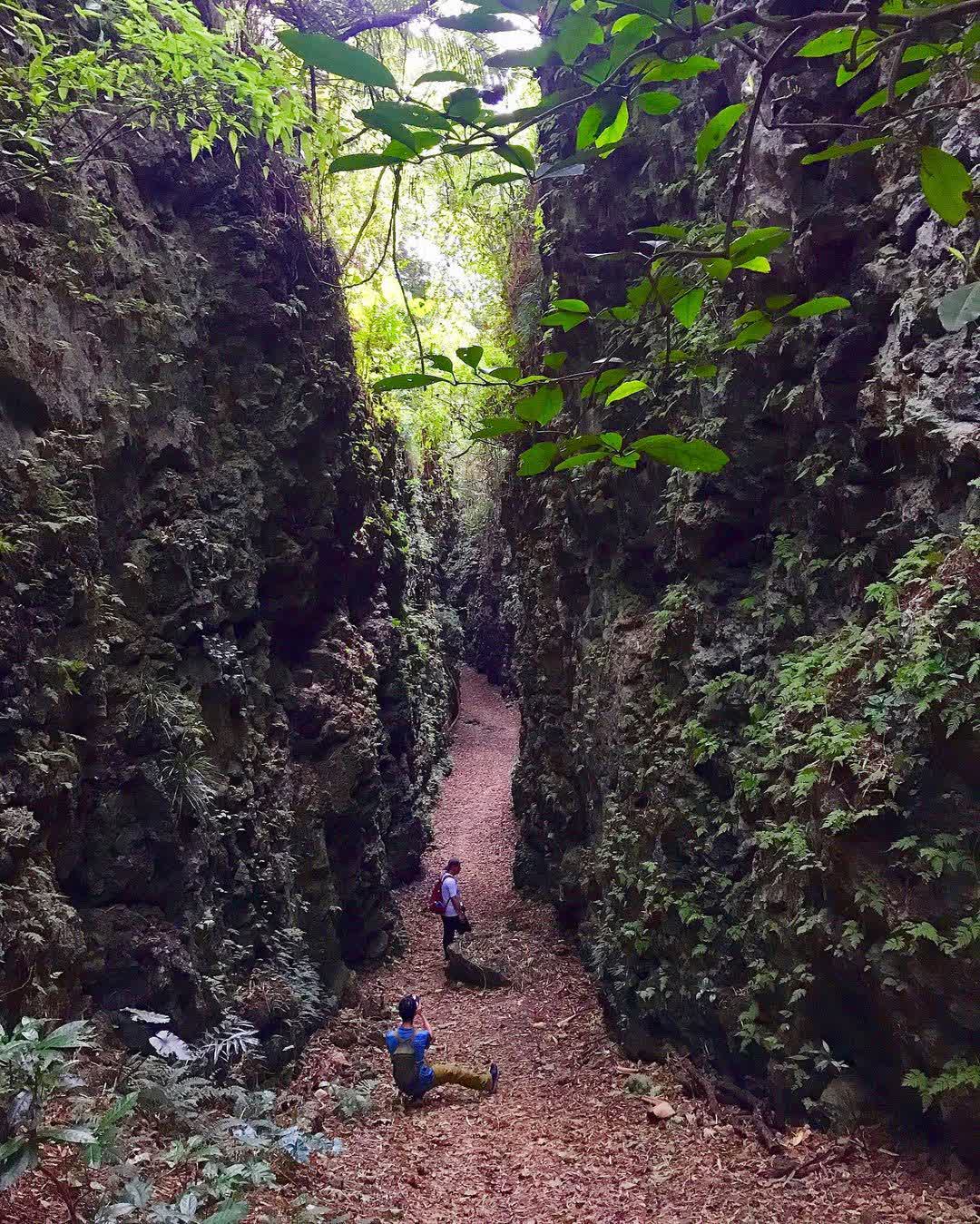 盤龍峽谷 | 去趣 chicTrip