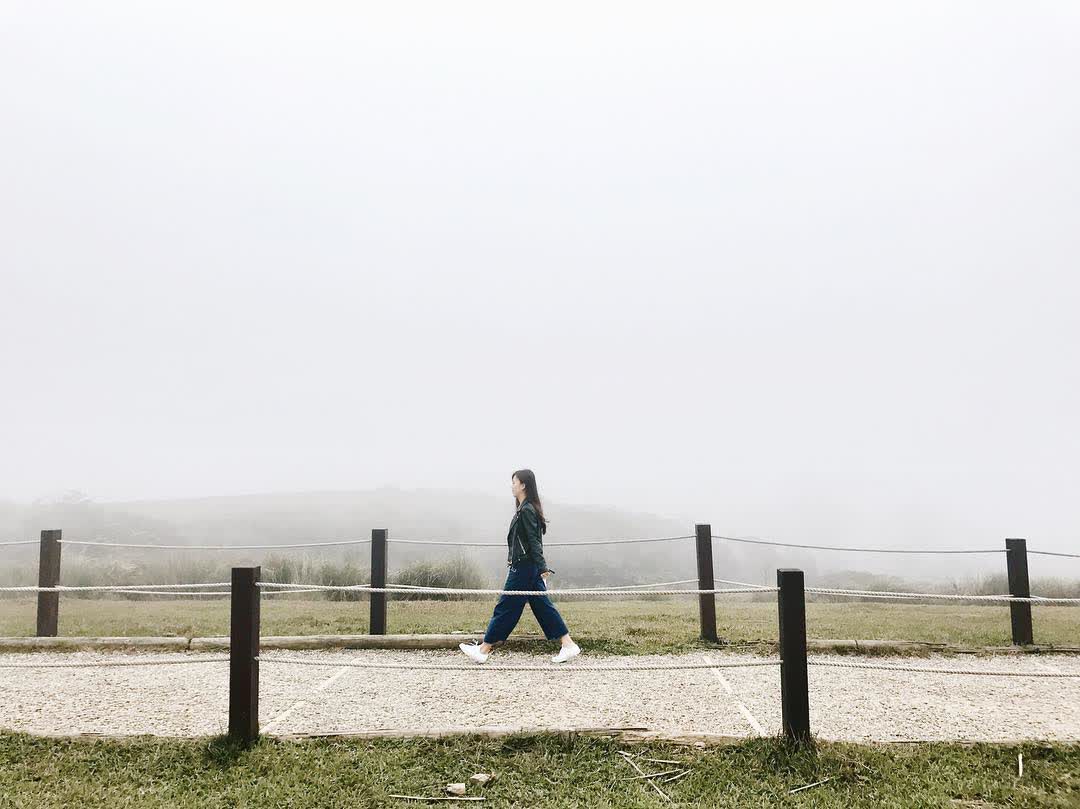 擎天崗 | 去趣 chicTrip