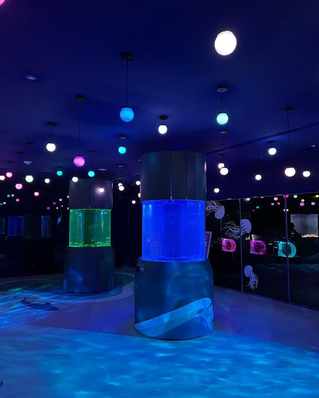 潮境公園 | 去趣 chicTrip