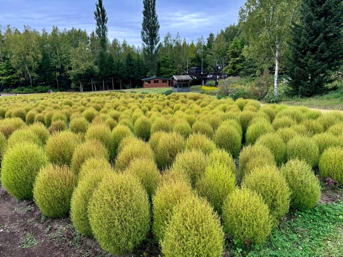 國營瀧野鈴蘭丘陵公園 | 去趣 chicTrip