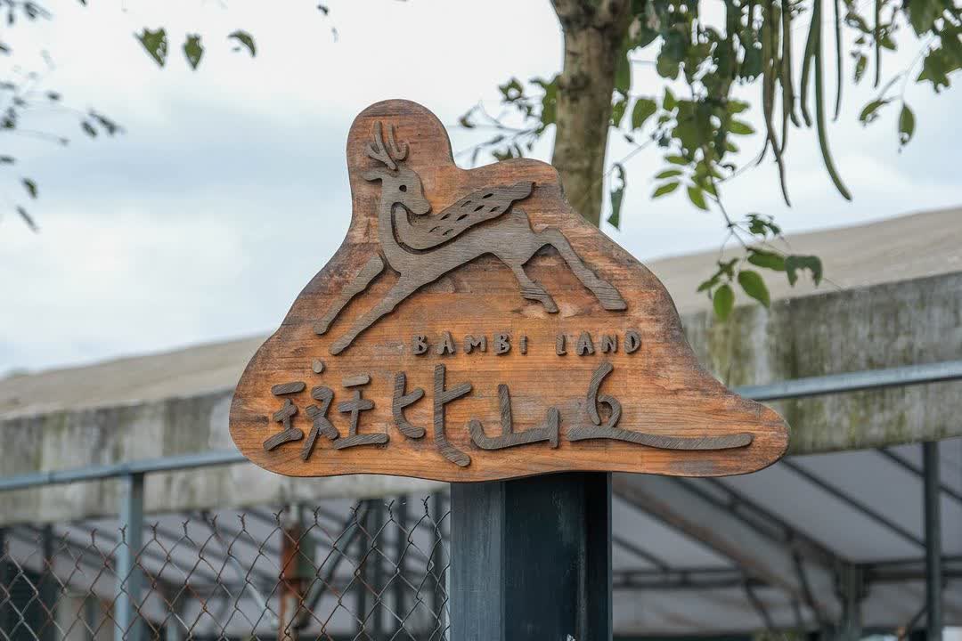 宜蘭-斑比山丘 | 去趣 chicTrip