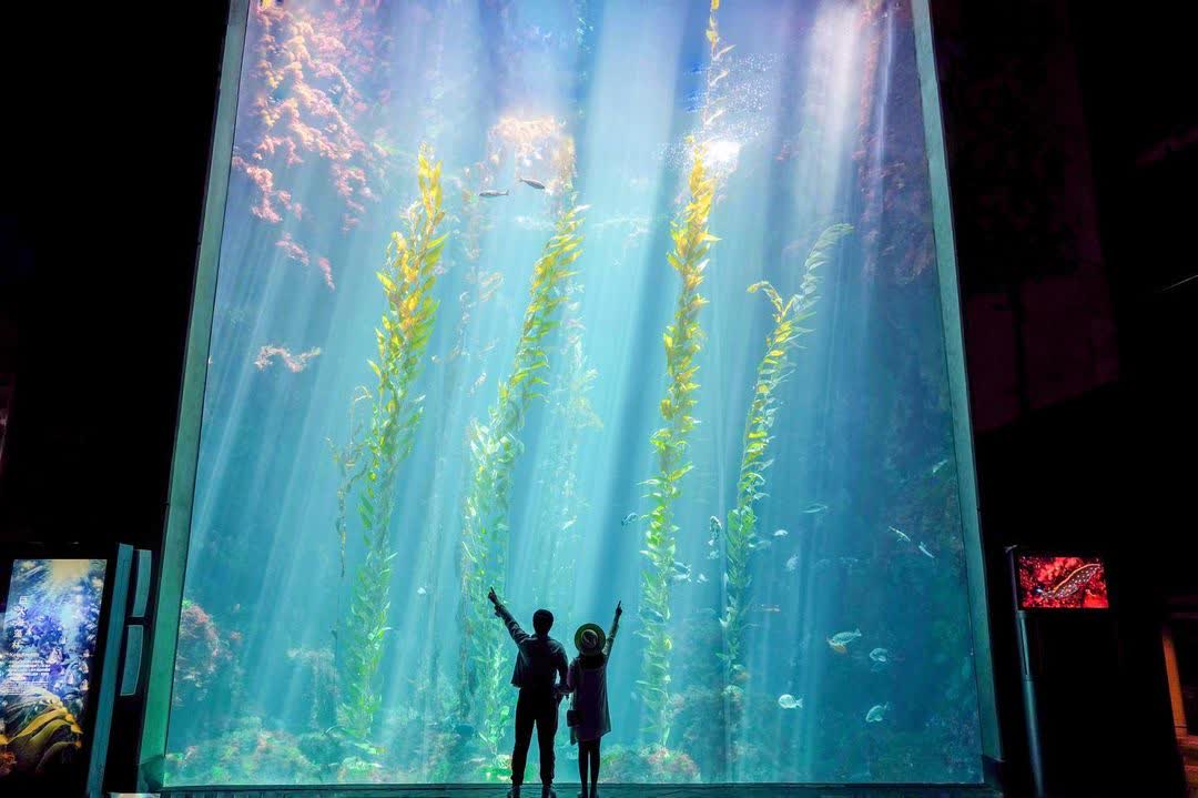 國立海洋生物博物館 | 去趣 chicTrip