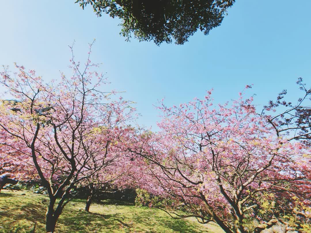 無極天元宮 | 去趣 chicTrip