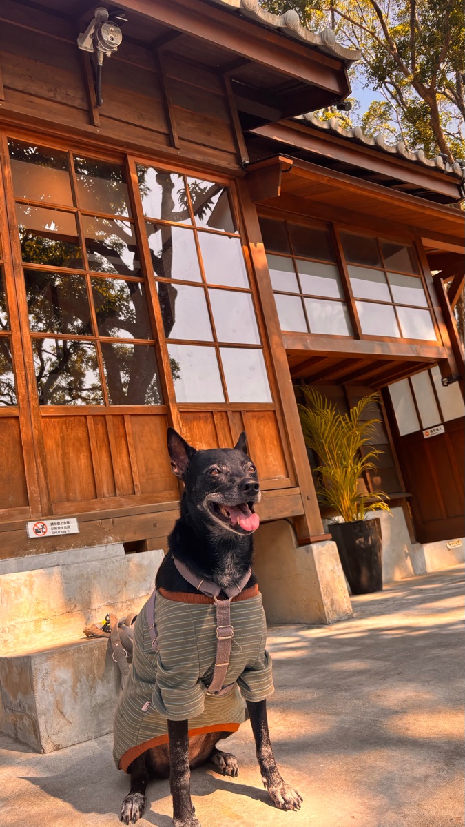 國家漫畫博物館 | 去趣 chicTrip