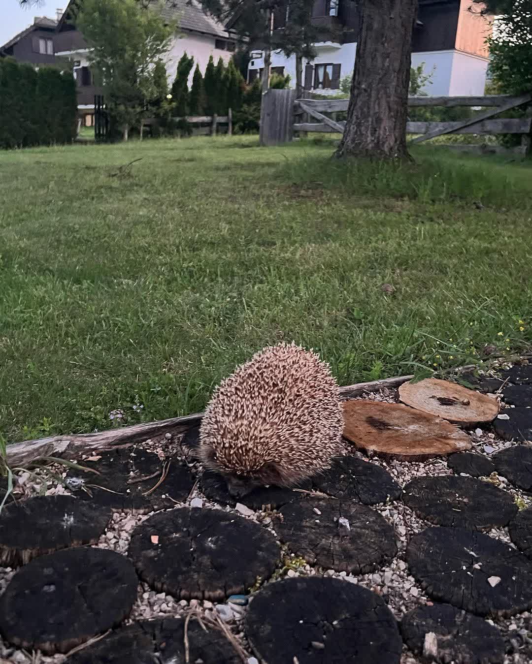 普利特維採湖群國家公園 | 去趣 chicTrip