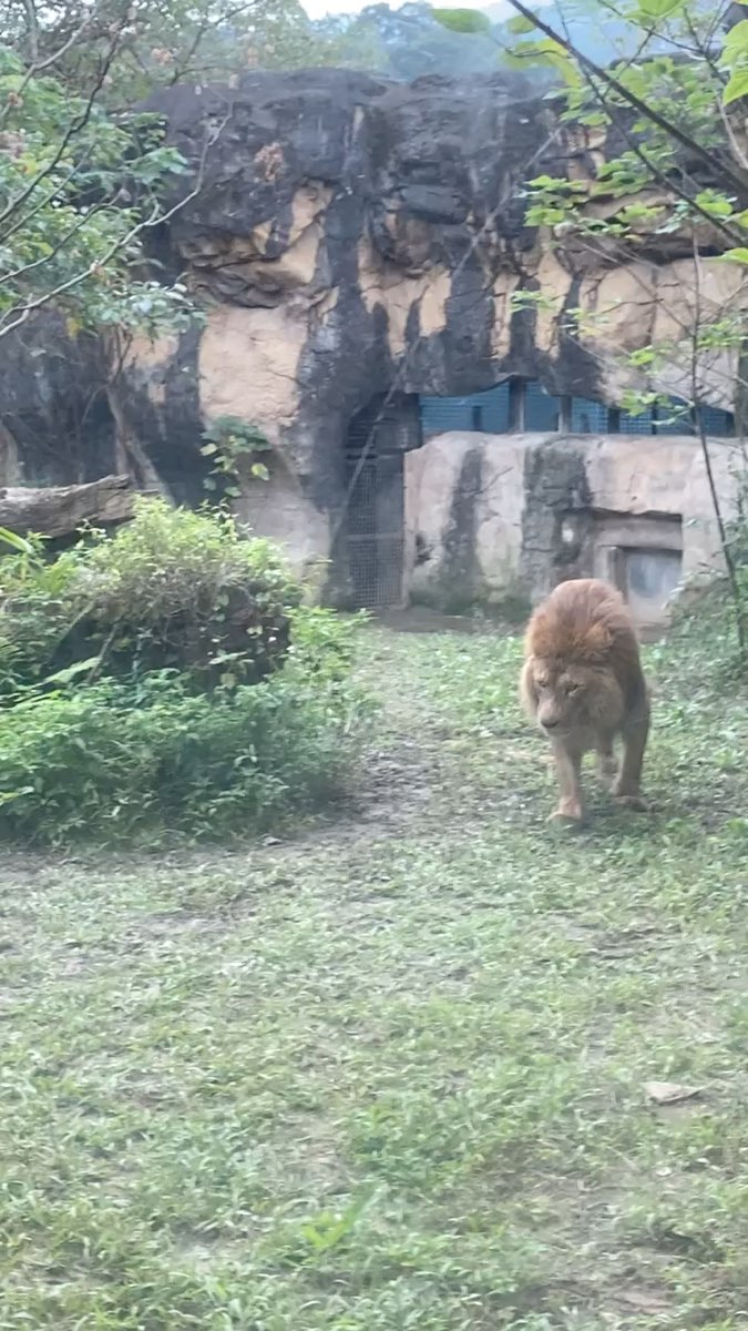 新竹市立動物園 | 去趣 chicTrip