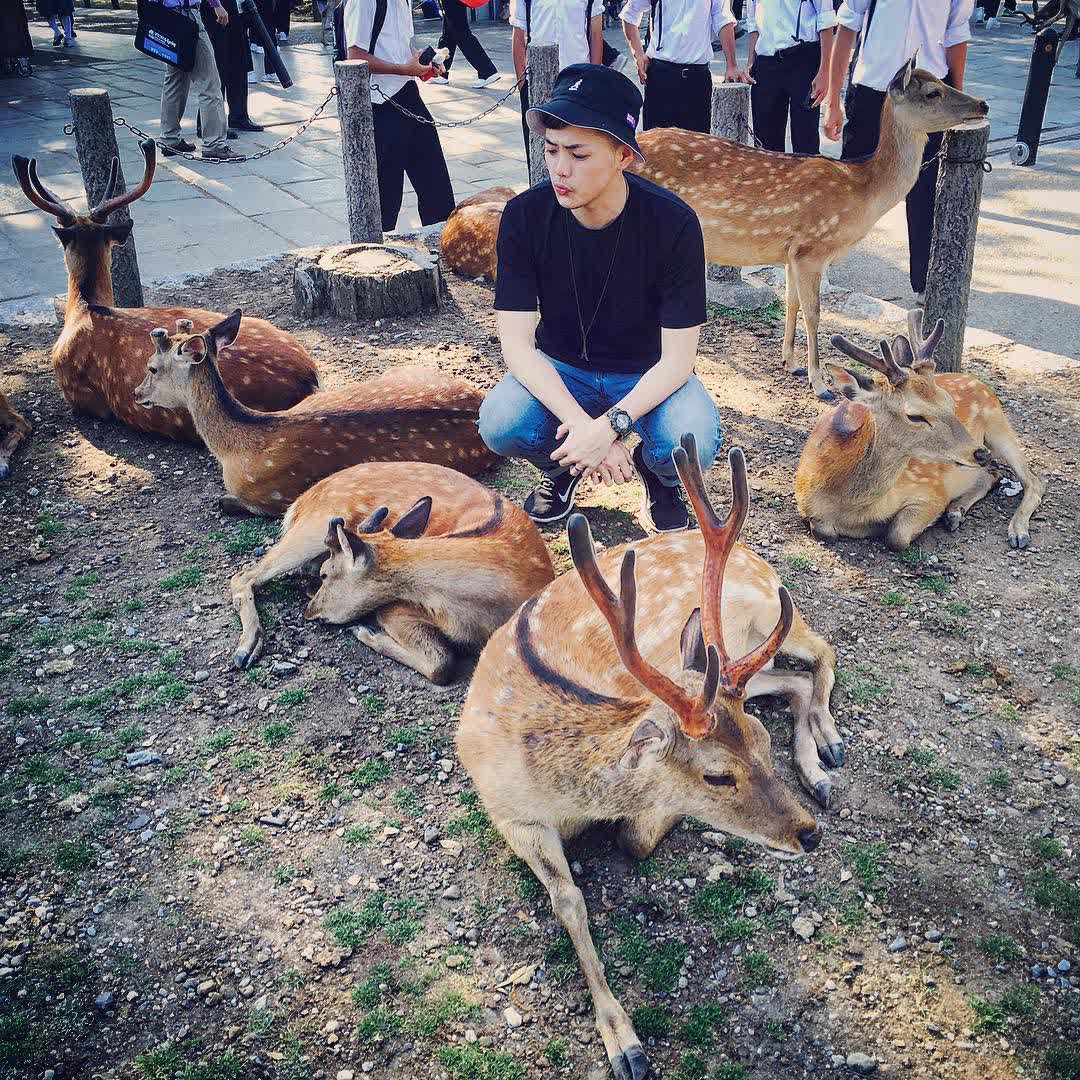 Tōdai-ji 東大寺 | 去趣 chicTrip