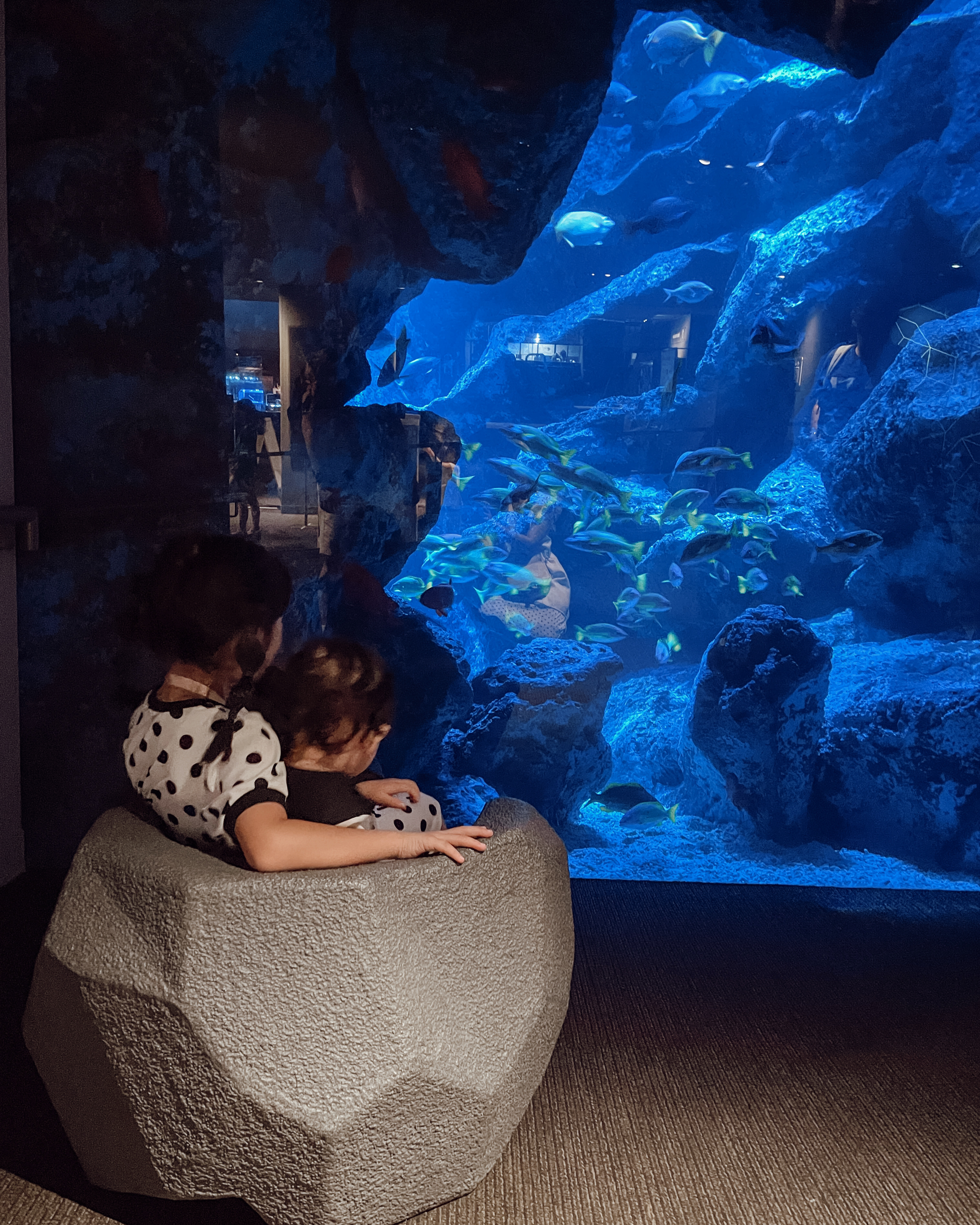 墨田水族館 | 去趣 chicTrip