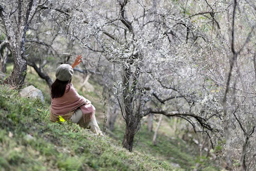石門水庫風景區