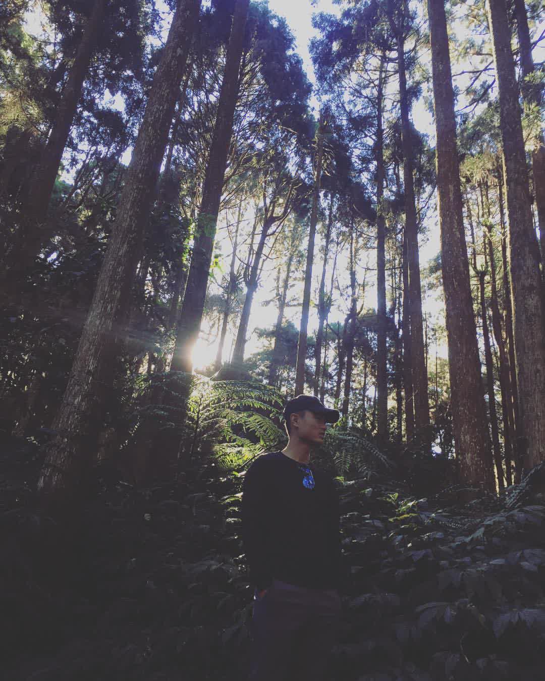 溪頭自然教育園區 | 去趣 chicTrip