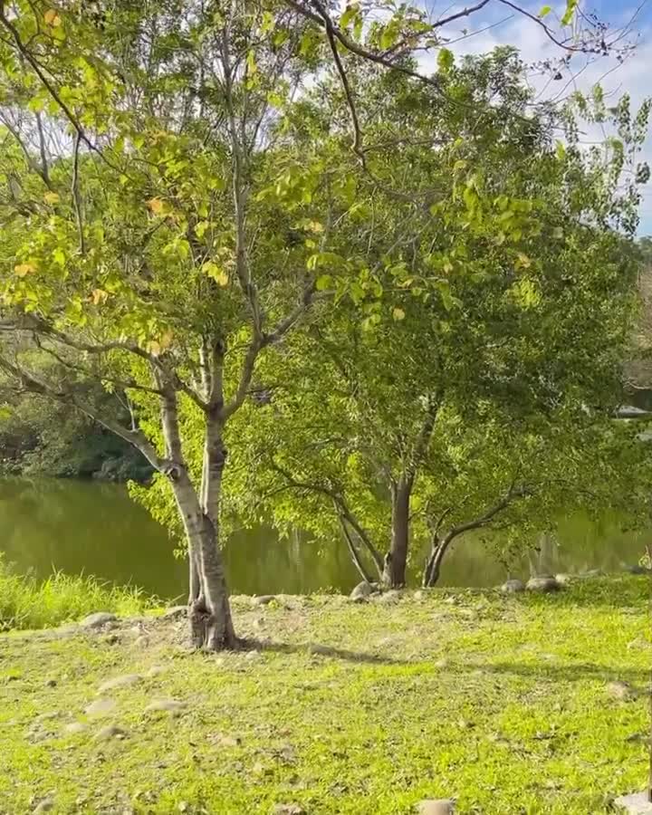 三坑自然生態公園 | 去趣 chicTrip