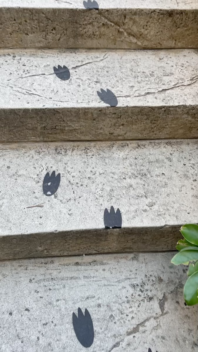 美國村 | 去趣 chicTrip