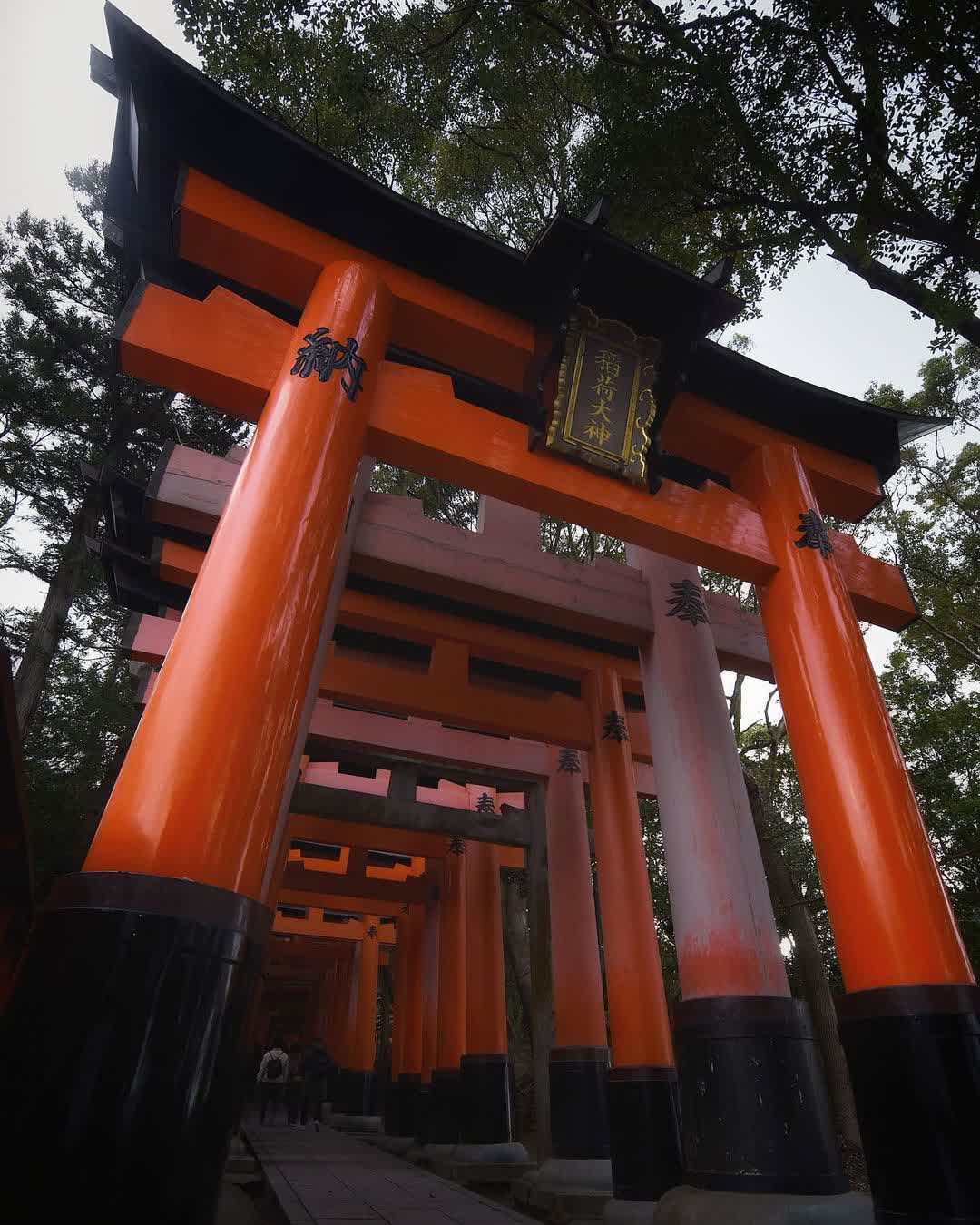 伏見稻荷大社 | 去趣 chicTrip