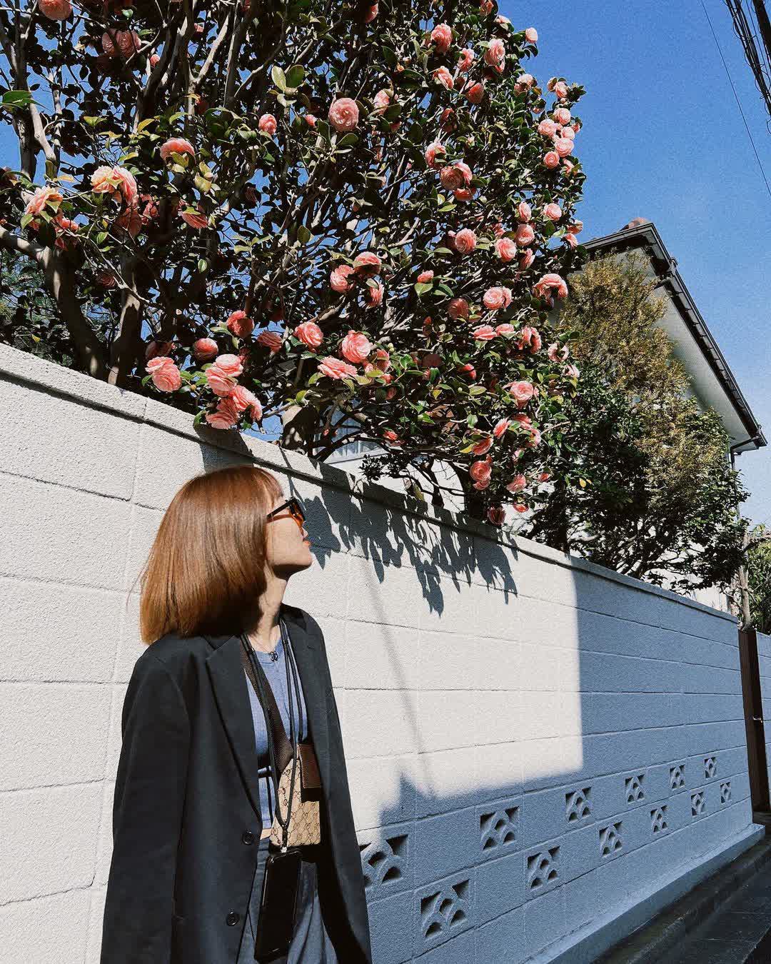 世田谷 豪德寺 | 去趣 chicTrip