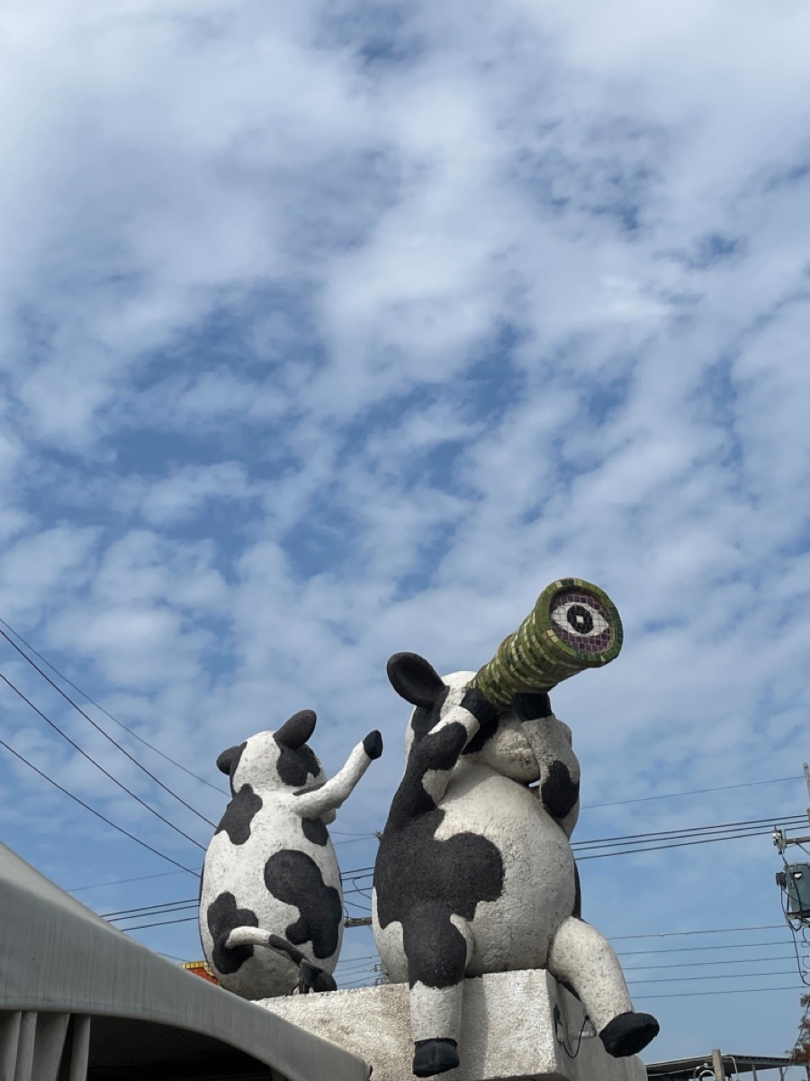 千巧谷牛樂園牧場 | 去趣 chicTrip