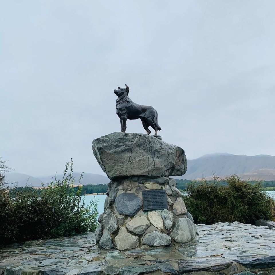 好牧羊人教堂 | 去趣 chicTrip