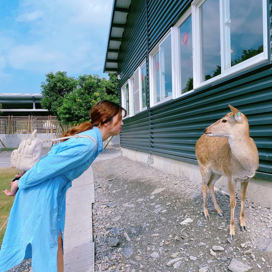 宜蘭-斑比山丘 | 去趣 chicTrip