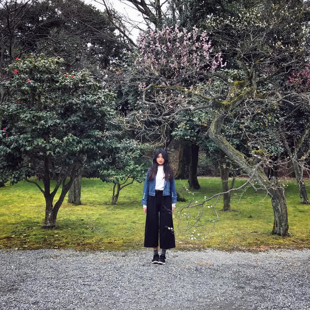 二條城 | 去趣 chicTrip