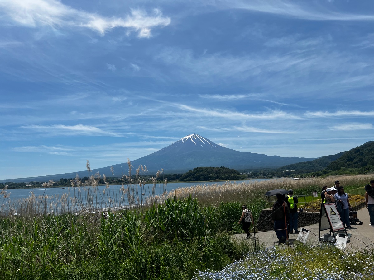 大石公園 | 去趣 chicTrip