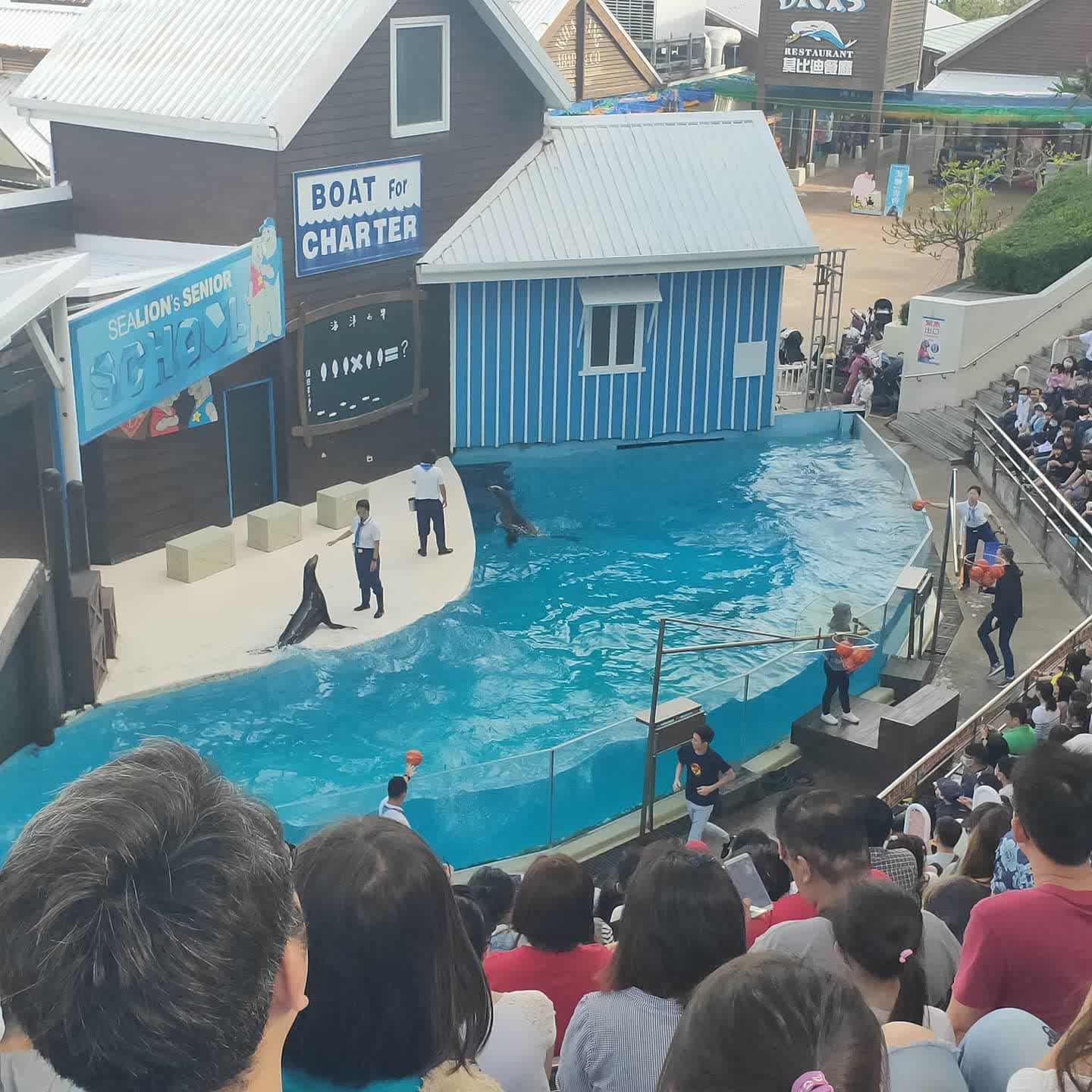 遠雄海洋公園 | 去趣 chicTrip