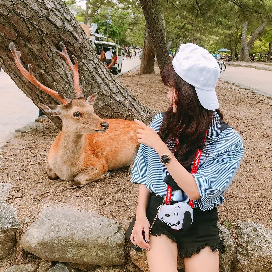 奈良公園 | 去趣 chicTrip