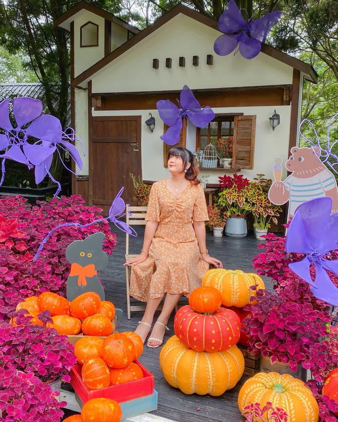 薰衣草森林新竹尖石店 | 去趣 chicTrip