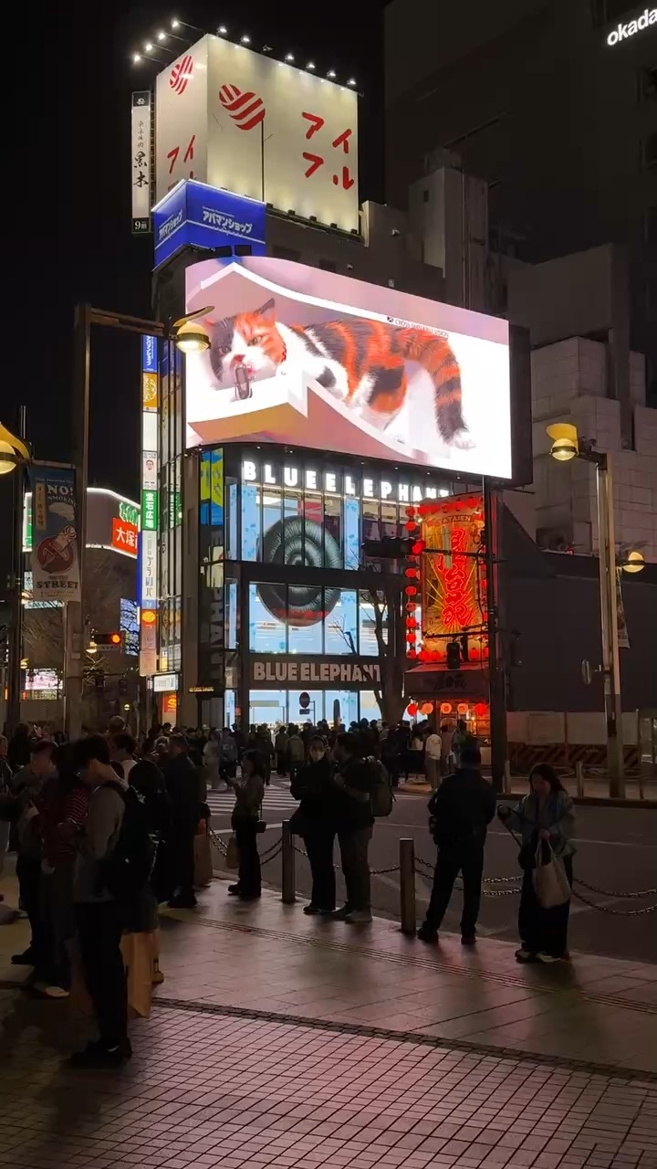The Giant 3D Cat | 去趣 chicTrip