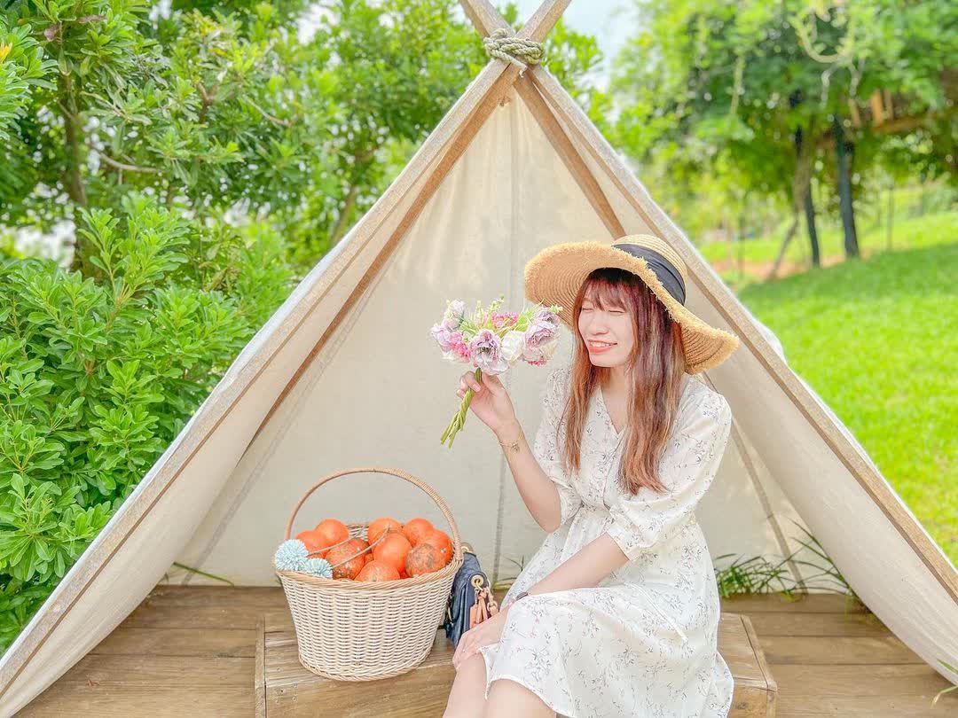 橙香森林 | 去趣 chicTrip