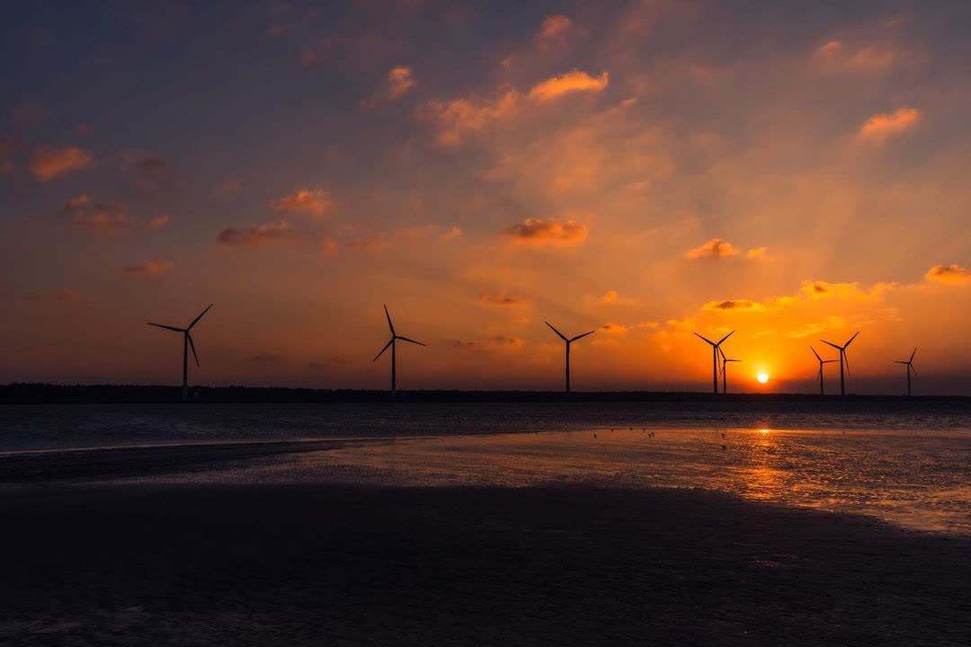 高美野生動物保護區 | 去趣 chicTrip