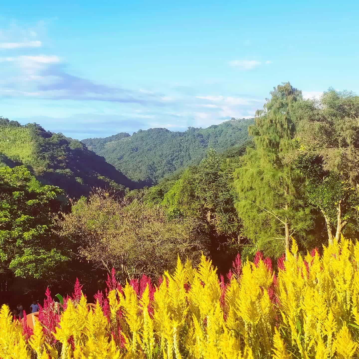 薰衣草森林台中新社店 | 去趣 chicTrip