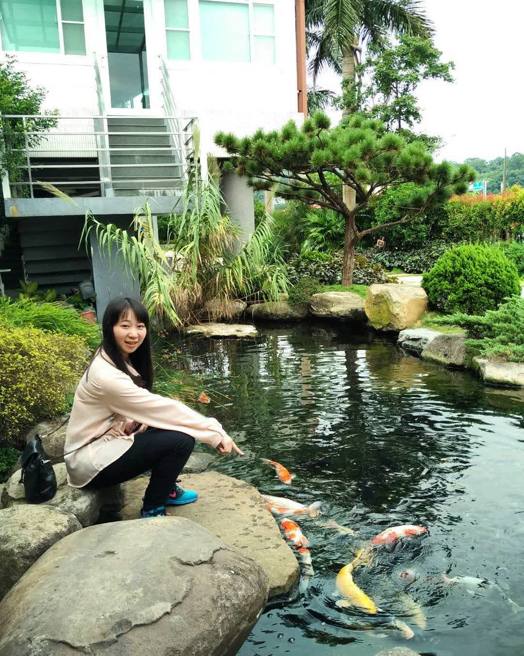 龍情 魔幻豆子主題館