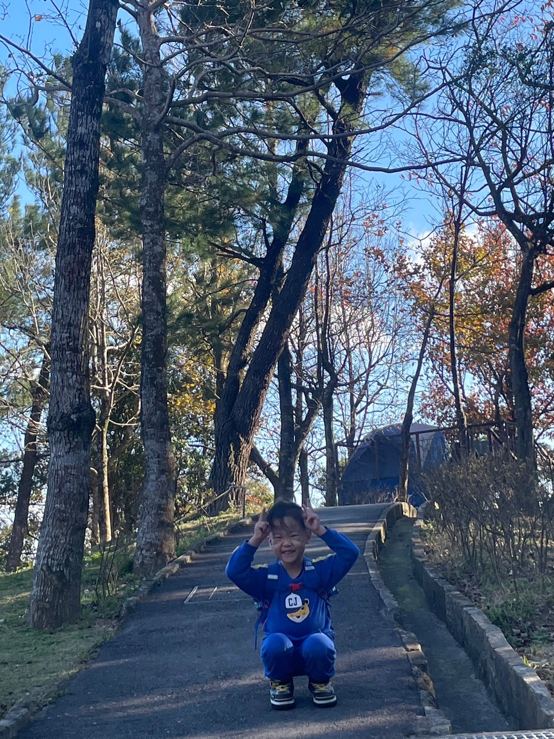 碧山露營場 | 去趣 chicTrip