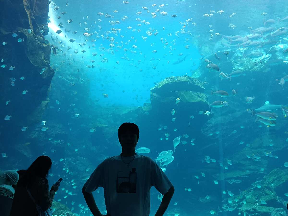 Xpark 水族館 | 去趣 chicTrip