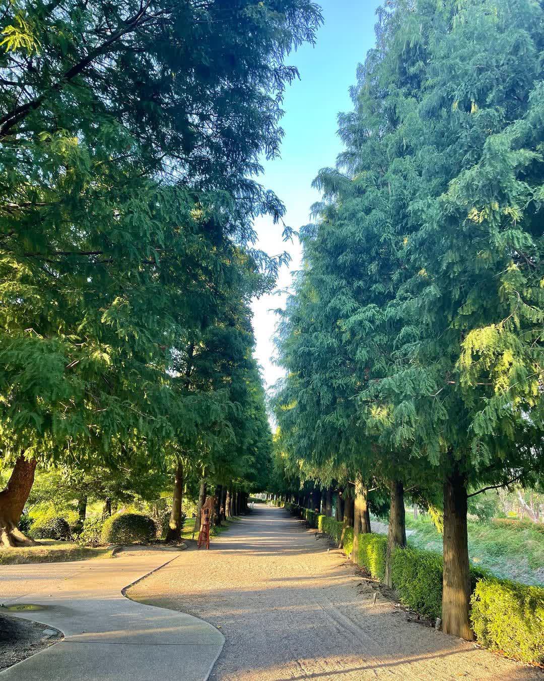 成美文化園 | 去趣 chicTrip