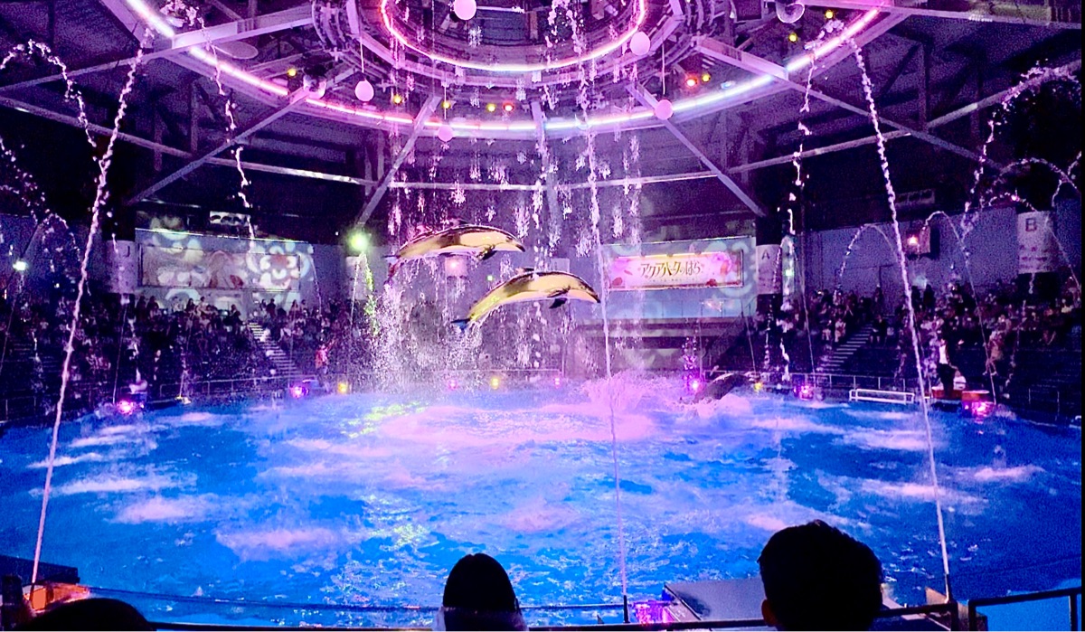 室內水族館 Maxell Aqua Park | 去趣 chicTrip