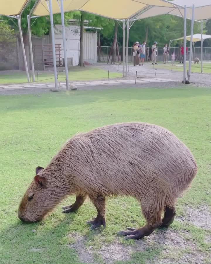 宜蘭-斑比山丘 | 去趣 chicTrip