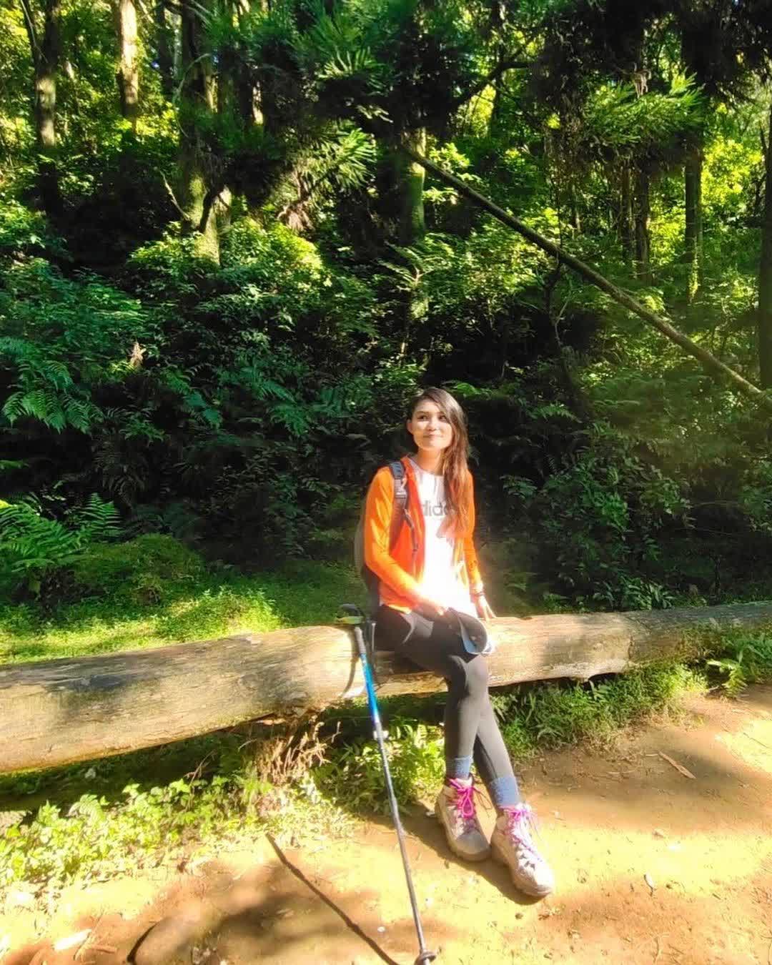 陽明山國家公園 | 去趣 chicTrip