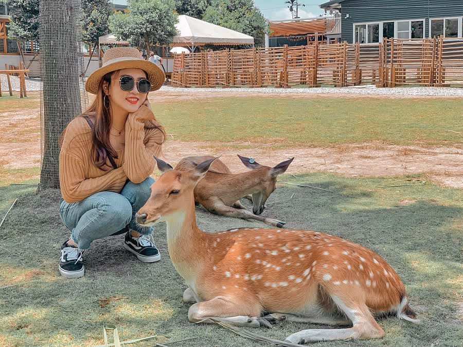 宜蘭-斑比山丘 | 去趣 chicTrip