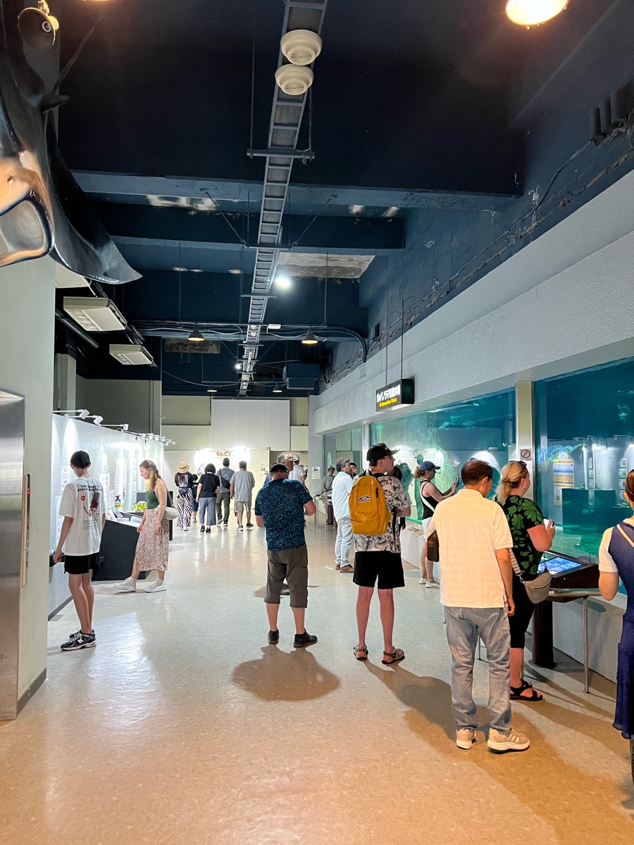 小樽水族館 | 去趣 chicTrip