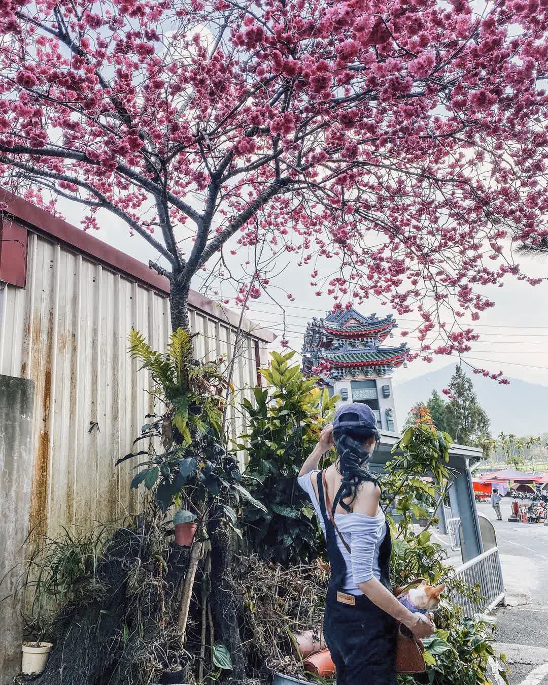 寶湖宮天地堂地母廟(南投埔里) | 去趣 chicTrip